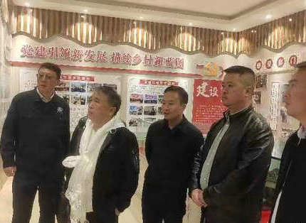 王志宏参加水利部援藏工作会议并调研公司定点帮扶村