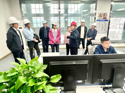 水利部减灾中心（防御中心）调研澧水公司水旱灾害防御和数字孪生工作