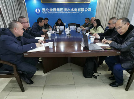 陈印辉带队到江坪河水电站开展专题调研