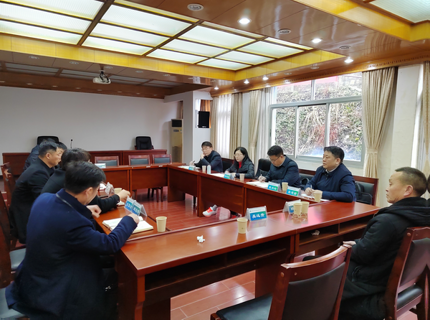 陈印辉到分子公司开展经营发展专题调研