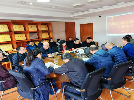 澧能公司党支部召开2022年度组织生活会暨民主评议党员会议