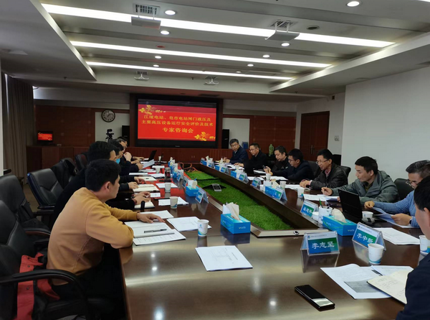 公司组织召开电站设备运行安全专家技术咨询会议