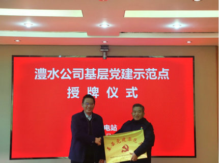 公司举行基层党建示范点授牌仪式