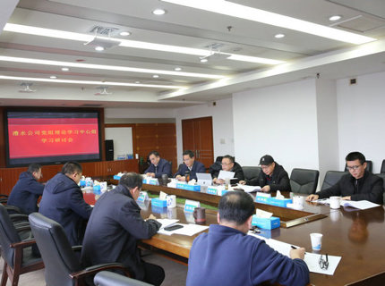 公司党组理论学习中心组专题学习研讨习近平文化思想