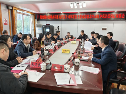 陈印辉带队到零陵区考察南津渡光伏项目