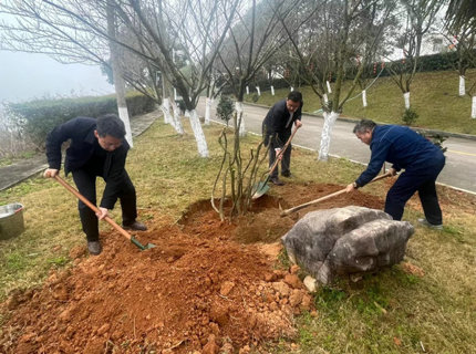 徐磊到皂市电站参加义务植树活动