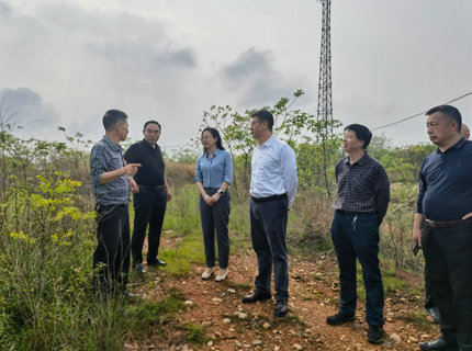 陈印辉带队考察调研衡阳县新能源项目