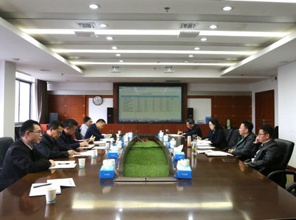 公司召开宜冲桥水库项目前期工作推进会