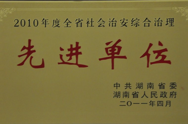 湖南省社会治安综合治理先进单位