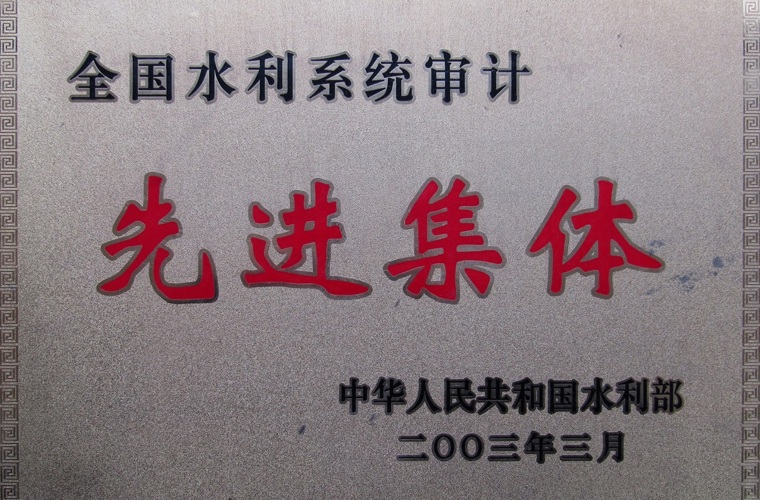 全国水利系统审计先进集体
