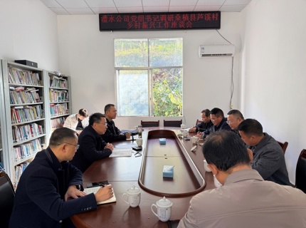 徐磊调研公司乡村振兴帮扶工作