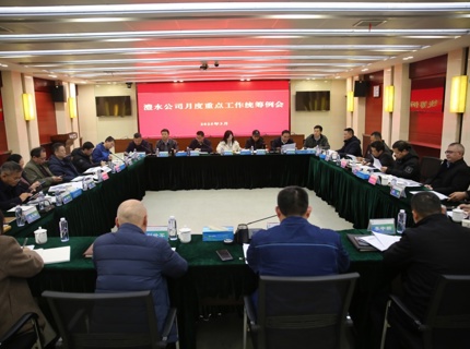 公司召开2025年3月份重点工作统筹例会