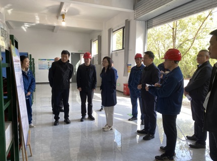 徐磊带队到江垭水库检查防汛备汛工作