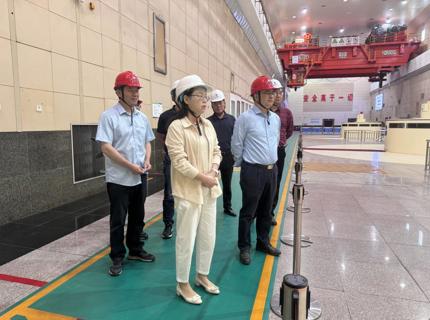 陈印辉到江垭电站检查安全生产工作并与青年职工交流座谈