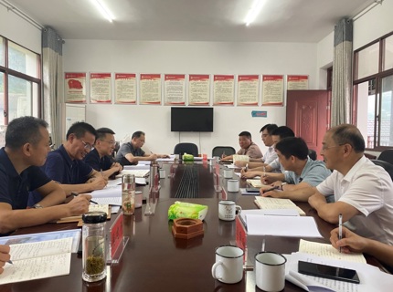 徐磊调研石门大兴场村共绘乡村振兴新蓝图