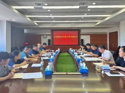 公司召开借款及担保工作专题会议