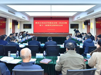 澧水公司召开2025年股东会第二次会议暨第十一届董事会第四次会议