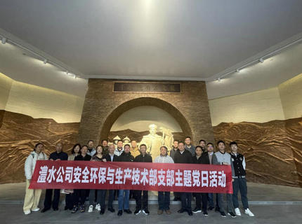 安技部党支部与监审部党支部联合开展主题党日活动