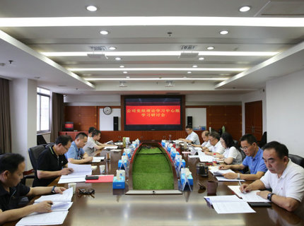 澧水公司党组理论学习中心组开展主题教育第四次集中学习研讨