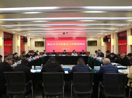 公司召开2025年1月份重点工作统筹例会
