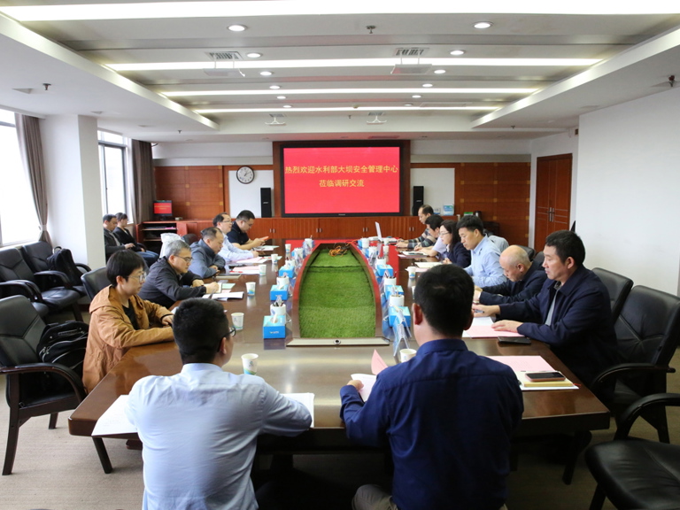 水利部大坝安全管理中心到澧水公司调研